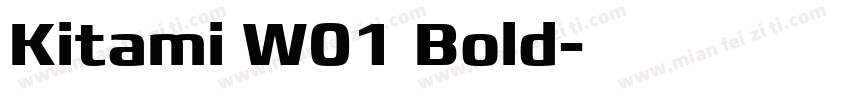 Kitami W01 Bold字体转换